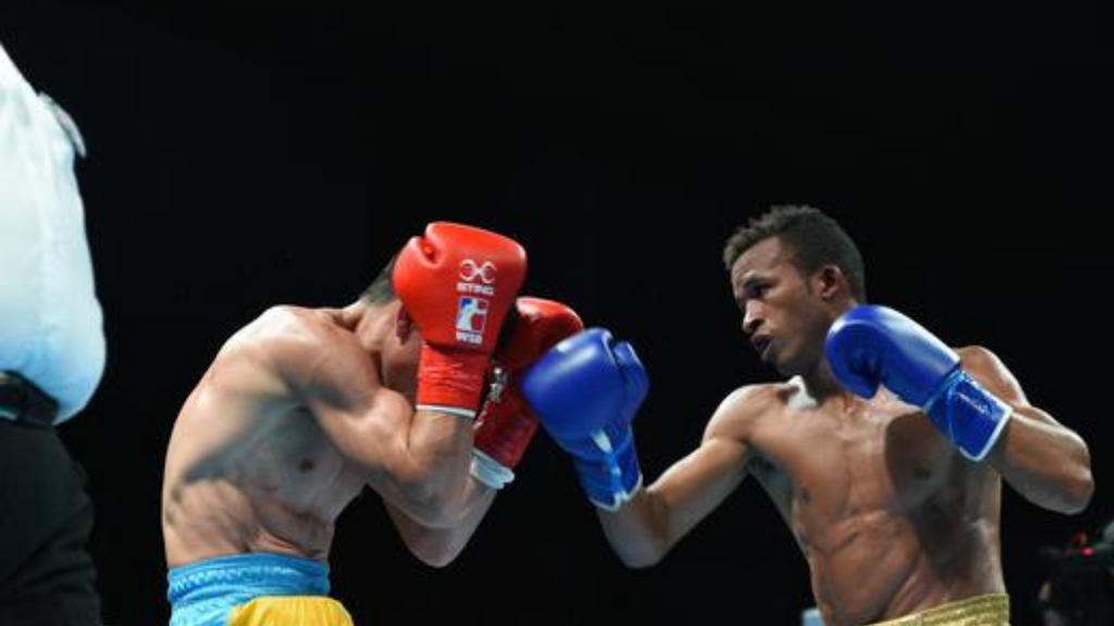 THE NEW WORLD SERIES OF BOXING SEASON VII CHAMPIONS