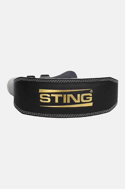 4 Inch Eco Leather Lifting Belt
