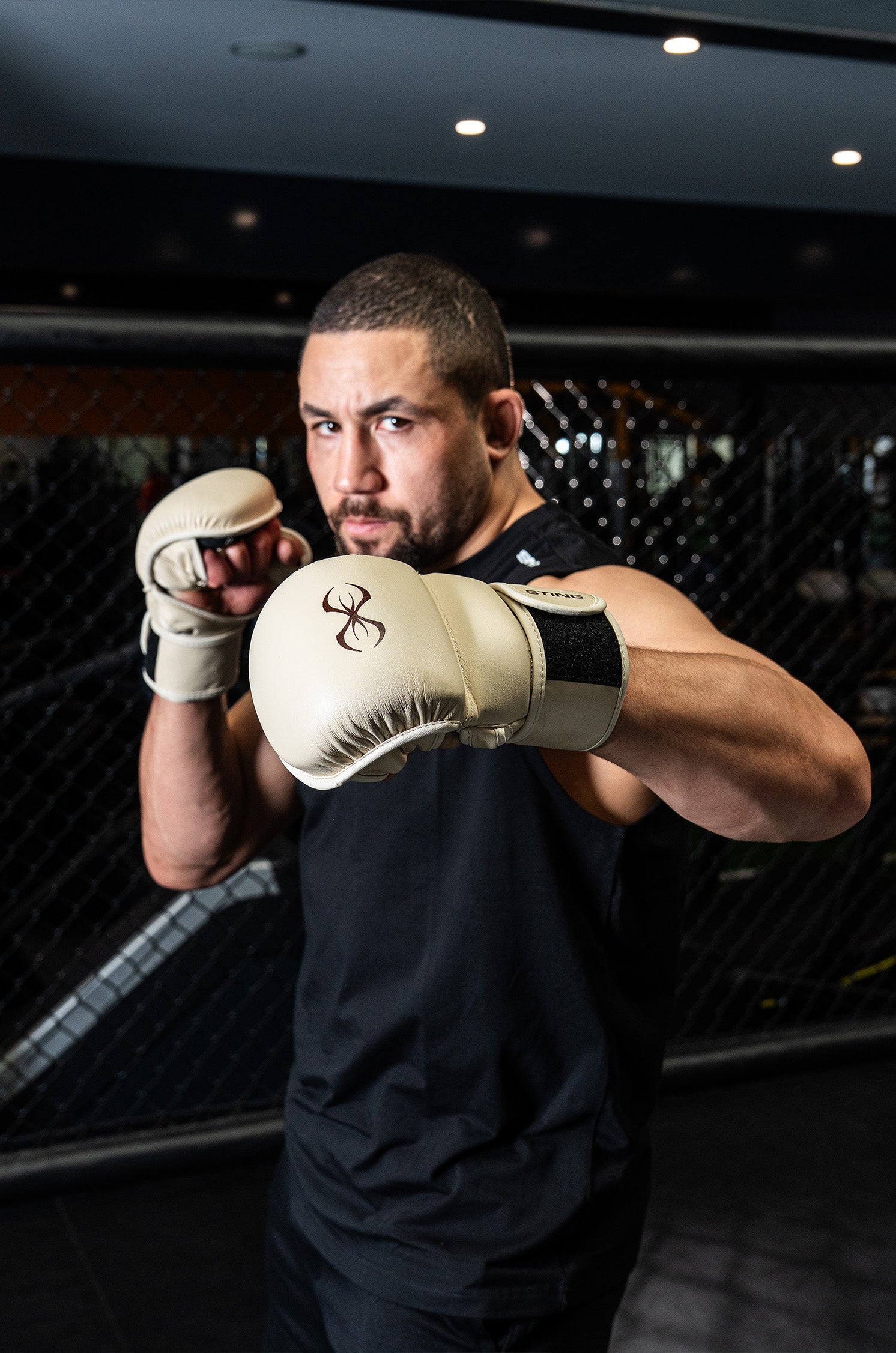 Taipan MMA Sparring Gloves