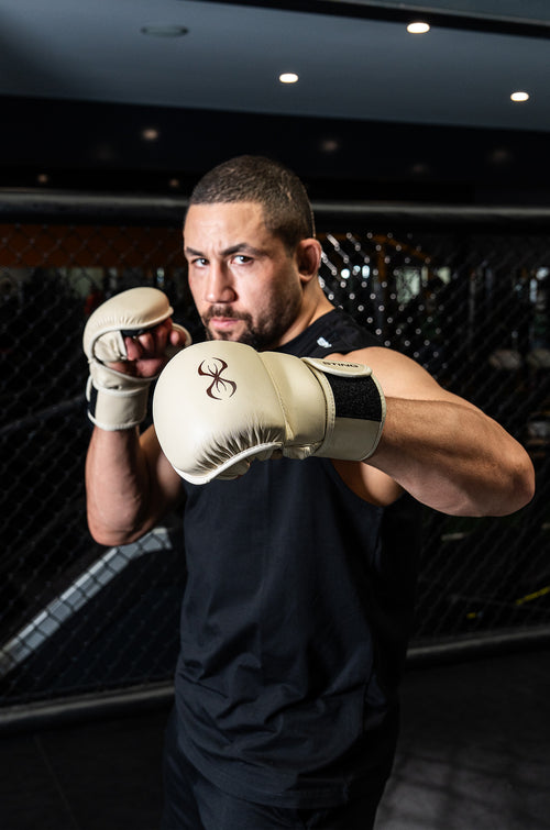 Taipan MMA Sparring Gloves