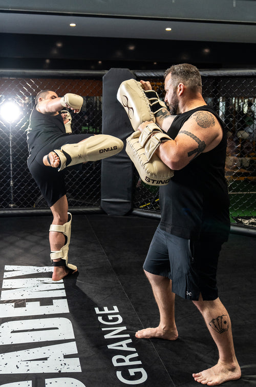 Taipan Thai Kick Pads
