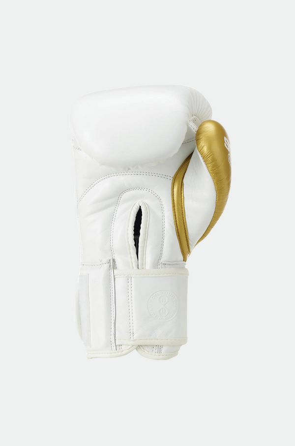Evolution Velcro Boxing Gloves