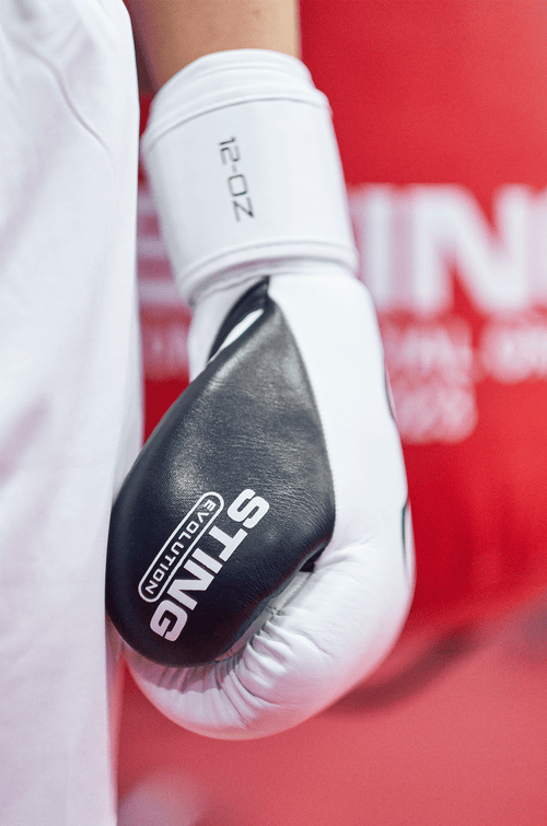 Evolution Boxing Gloves