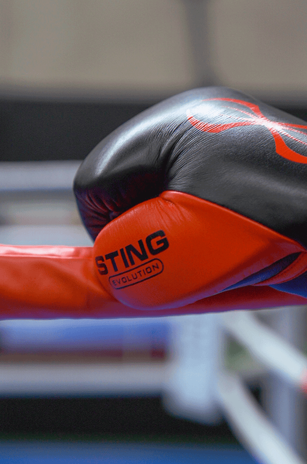 Evolution Boxing Gloves